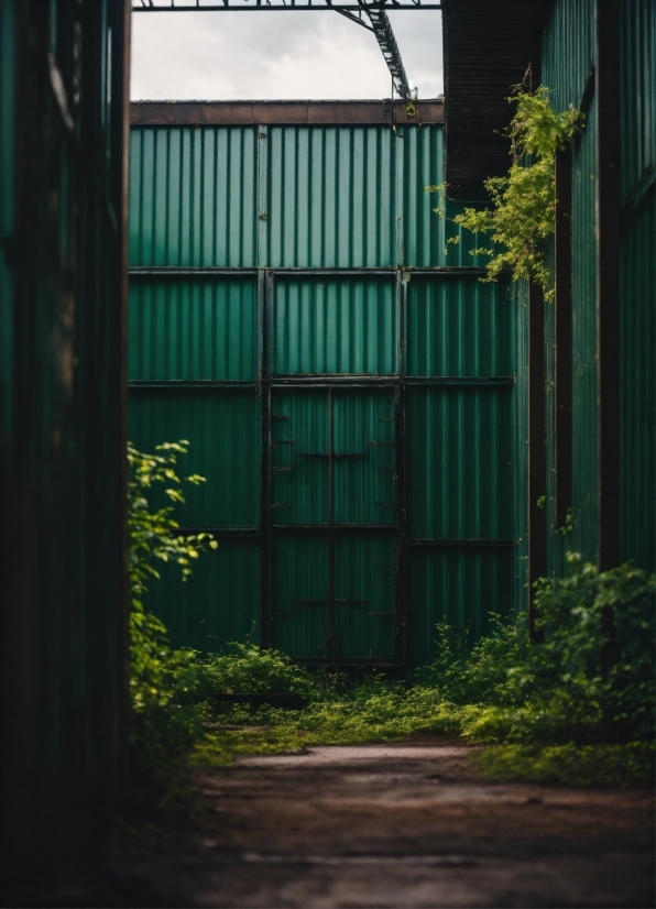 Naruto Aesthetic Wallpaper, Plant, Building, Wood, Fixture, Shade