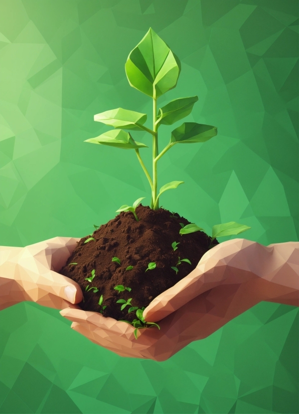 Naruto Wallpaper Hd For Mobile, Plant, Gesture, Terrestrial Plant, People In Nature, Grass