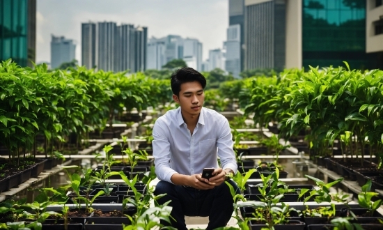Plant, Building, Dress Shirt, People In Nature, Grass, Agriculture