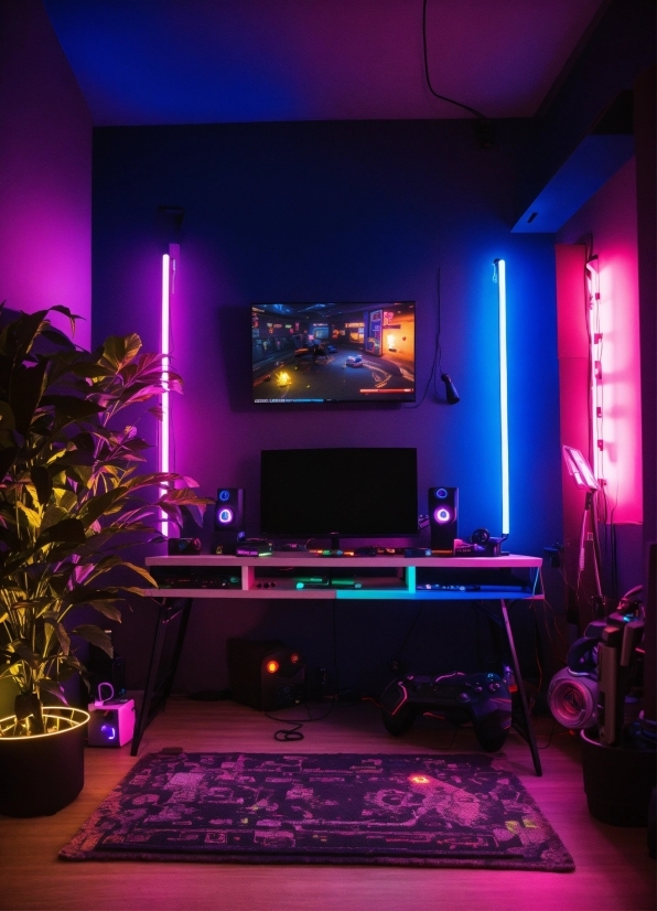 Plant, Furniture, Table, Couch, Purple, Building