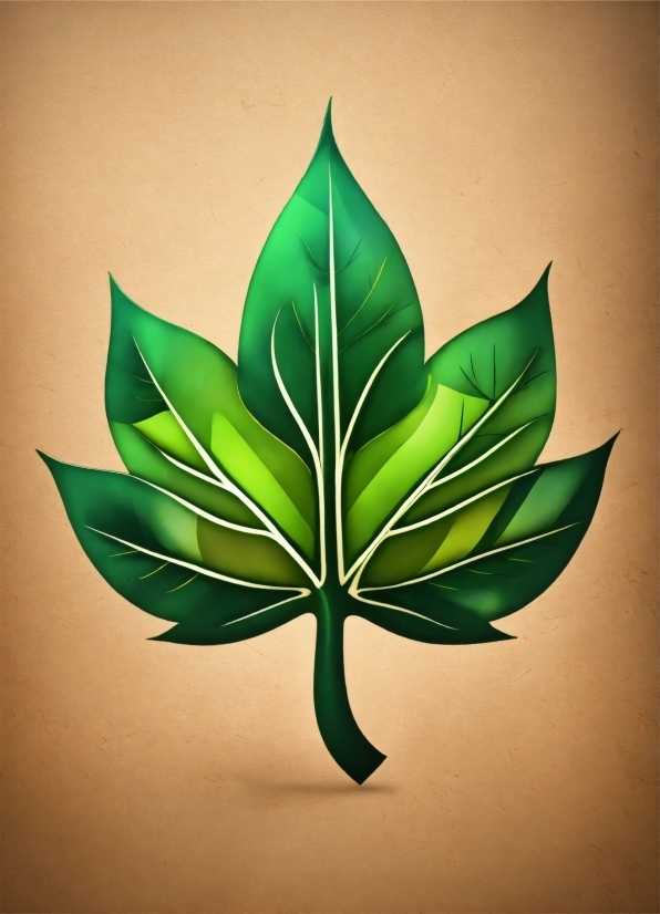 Plant, Leaf, Botany, Terrestrial Plant, Art, Creative Arts