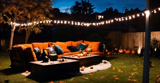 Property, Outdoor Furniture, Sky, Leisure, Tree, Couch