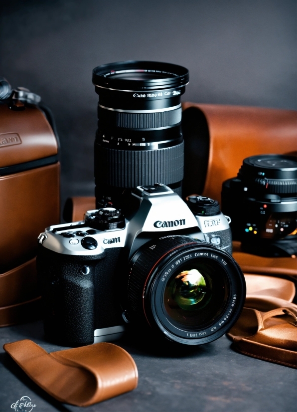 Reflex Camera, Digital Camera, Product, Camera Lens, Camera Accessory, Mirrorless Interchangeable-lens Camera