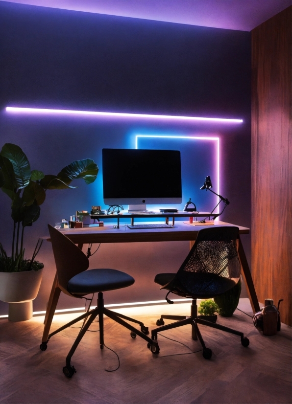 Table, Furniture, Plant, Computer Monitor, Light, Personal Computer