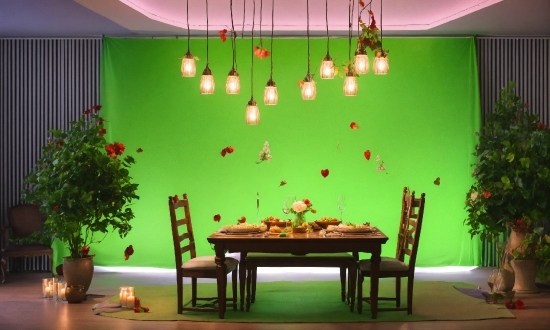Table, Furniture, Plant, Decoration, Light, Green