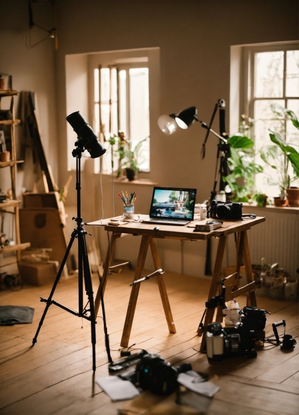 Wallpaper Hd 4k Keren, Plant, Table, Houseplant, Window, Laptop