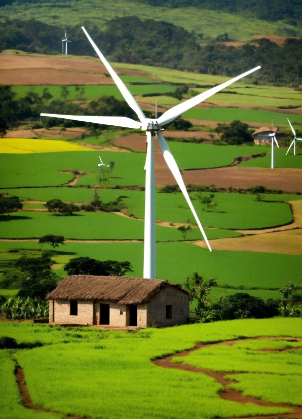 Windmill, Ecoregion, Wind Farm, Green, Wind Turbine, Highland