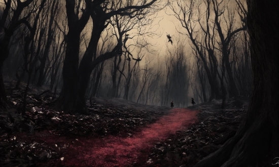 30 Seconds Whatsapp Status Video Download, Atmosphere, Plant, Natural Landscape, Wood, Branch