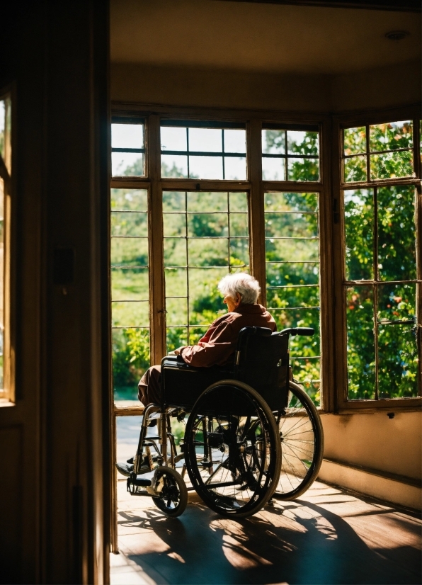 Animation Videos, Wheel, Wheelchair, Tire, Window, Leisure