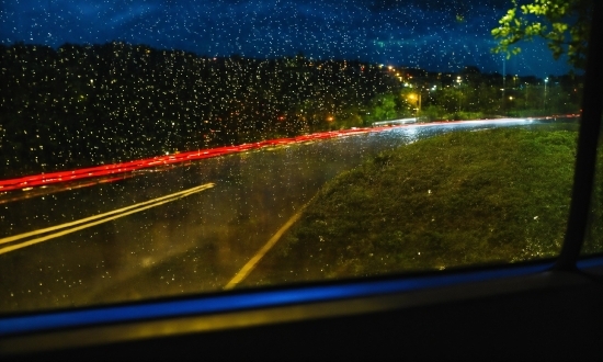 Atmosphere, Automotive Lighting, Sky, Leaf, Road Surface, Natural Environment