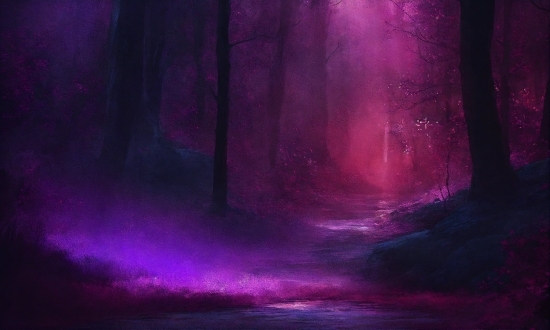 Beautiful Sky Background Video, Atmosphere, Purple, Natural Landscape, Wood, Atmospheric Phenomenon