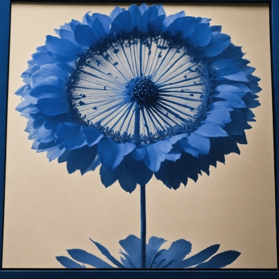 Blue, Azure, Flower, Petal, Plant, Paint