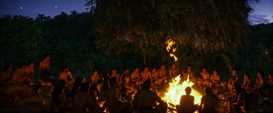 Bonfire, Fire, Flame, Campfire, Heat, Tree