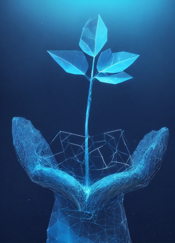 Ddv5 Ai Video, Plant, Flower, Water, Azure, Petal