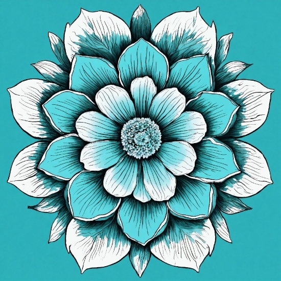 Flower, Petal, Creative Arts, Art, Symmetry, Pattern
