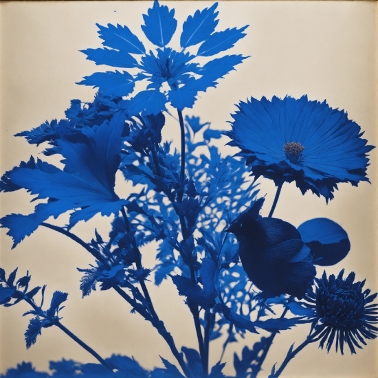 Flower, Plant, Blue, Branch, Petal, Paint