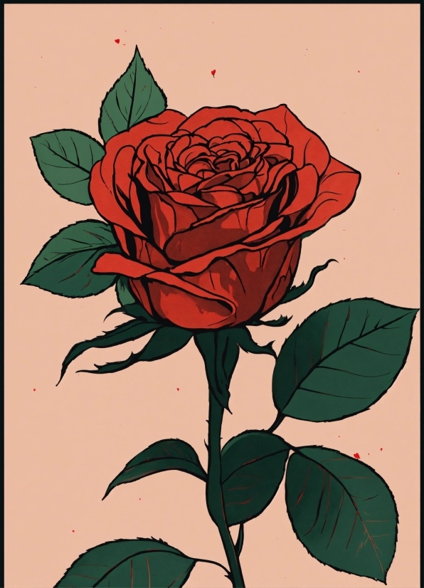 Flower, Plant, Botany, Petal, Hybrid Tea Rose, Rose