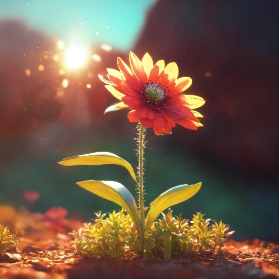 Flower, Plant, Light, Sky, Petal, Blanket Flowers