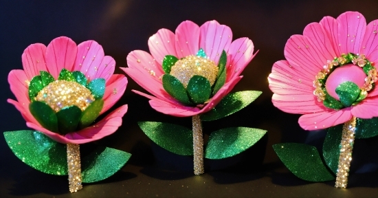 Flower, Plant, Lotus, Petal, Terrestrial Plant, Pink