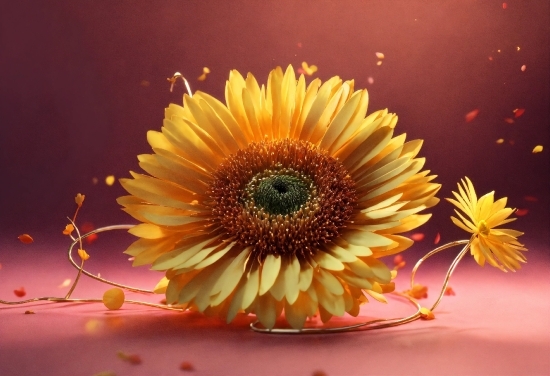 Flower, Plant, Nature, Petal, Sunflower, Flower Arranging