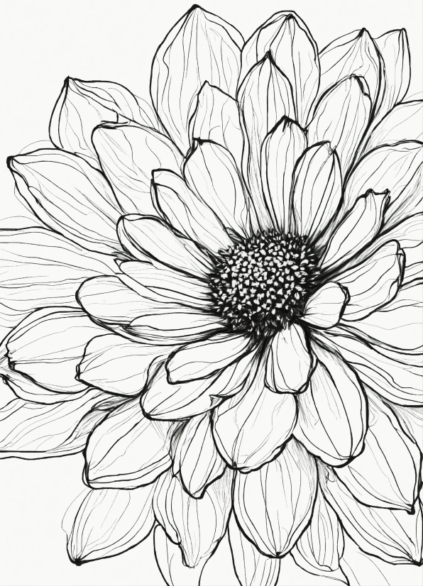 Flower, Plant, Petal, Botany, Gesture, Black-and-white