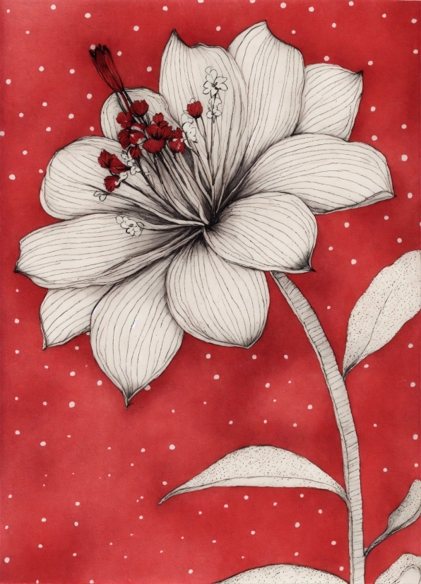 Flower, Plant, Petal, Creative Arts, Art, Red