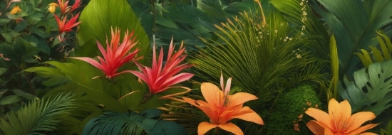 Flower, Plant, Petal, Green, Botany, Terrestrial Plant