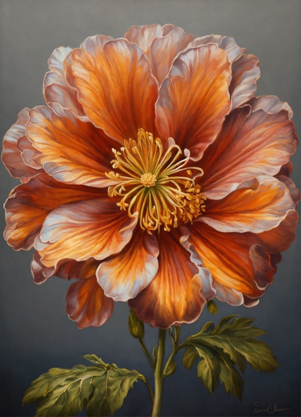 Flower, Plant, Petal, Orange, Painting, Art