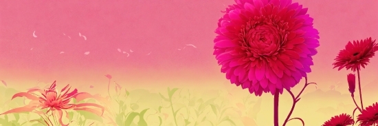 Flower, Plant, Petal, Pink, Grass, Art