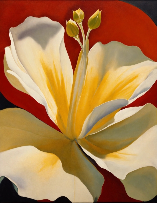 Flower, Plant, Petal, Tints And Shades, Flowering Plant, Art