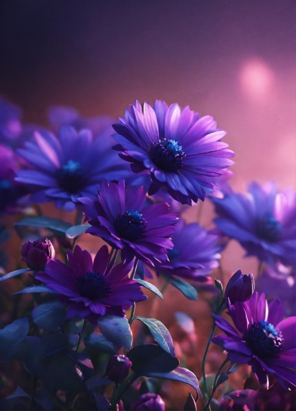 Flower, Plant, Sky, Purple, Nature, Petal