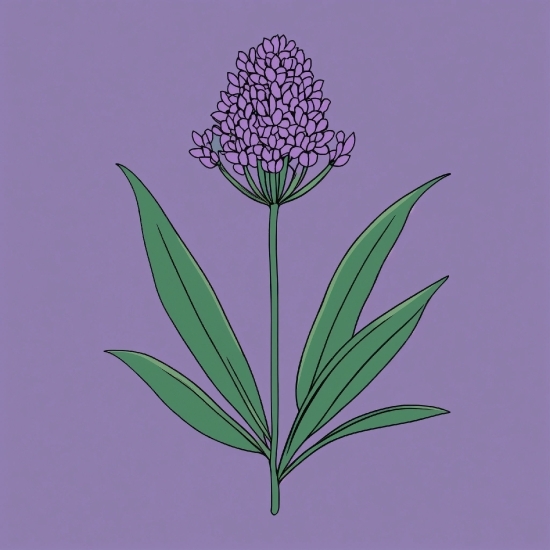 Flower, Plant, Terrestrial Plant, Flowering Plant, Pedicel, Art