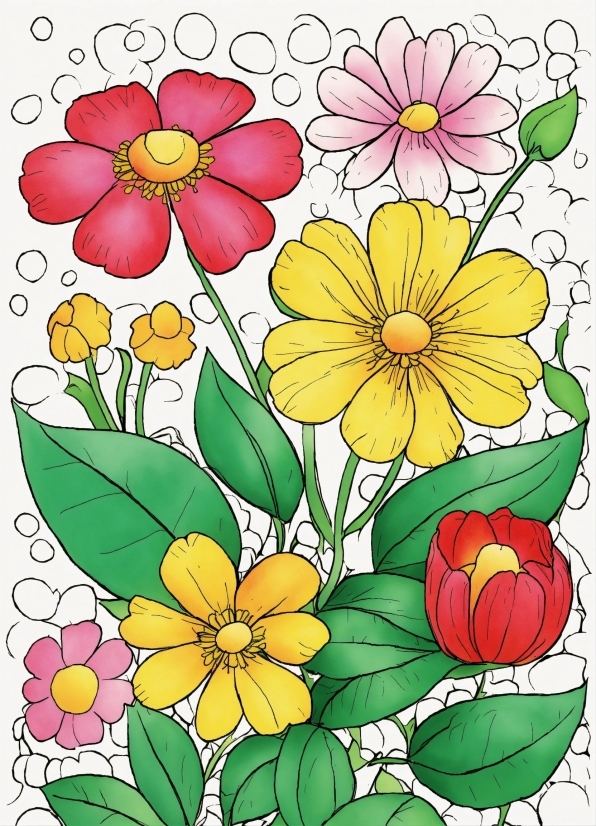 Flower, Plant, White, Botany, Petal, Yellow