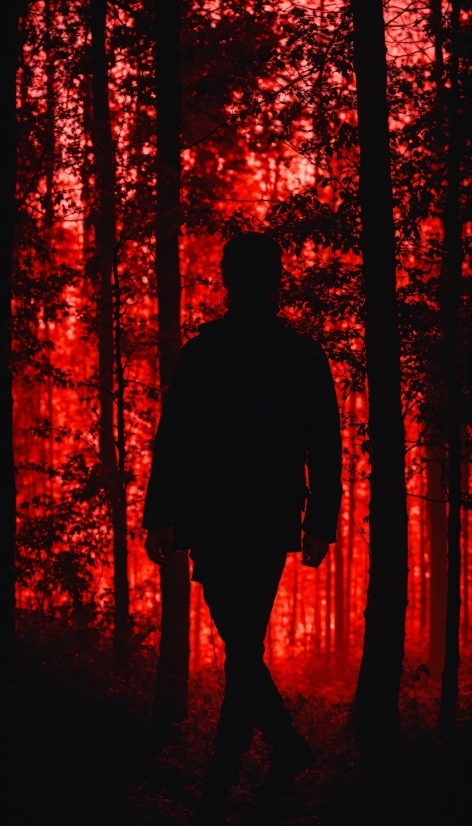 Free Online Ai Image Generator, People In Nature, Nature, Branch, Orange, Gesture