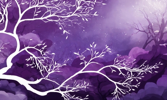 Https Tubidy Mobi Mp3 Music, Atmosphere, Vertebrate, Purple, Nature, Branch