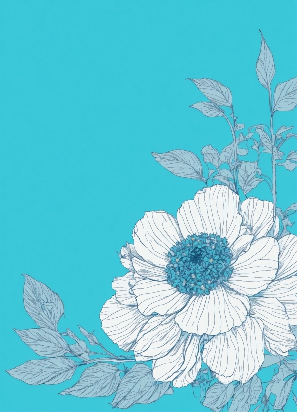 Licence Free Pictures, Flower, Plant, Petal, Creative Arts, Art