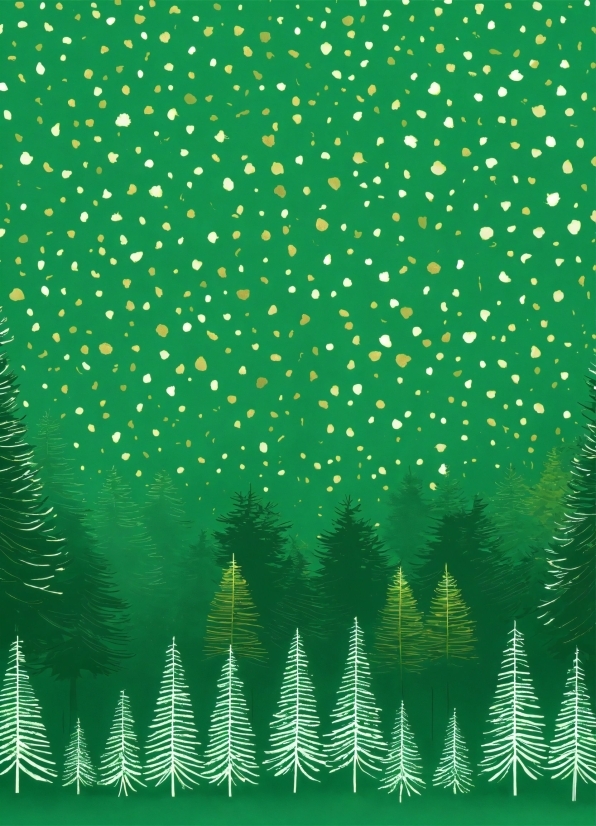 Light, Green, Rectangle, Line, Aqua, Christmas Decoration
