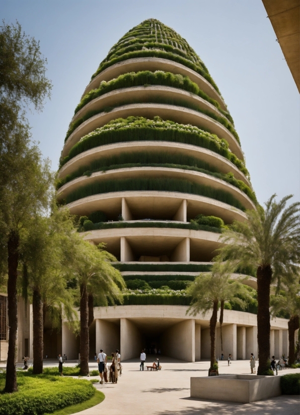 New In Artificial Intelligence, Building, Sky, Daytime, Property, Green