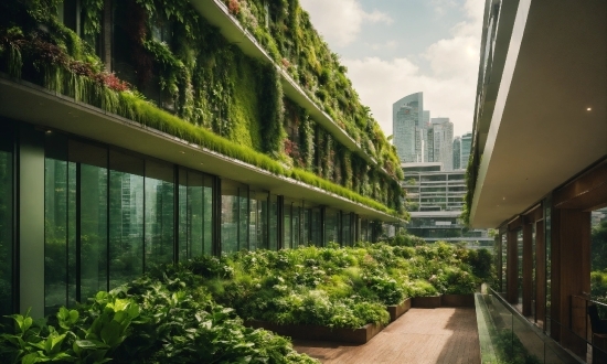 Plant, Building, Sky, Vegetation, Cloud, Urban Design