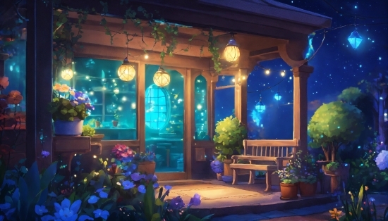 Plant, Furniture, Window, Flowerpot, Blue, Houseplant