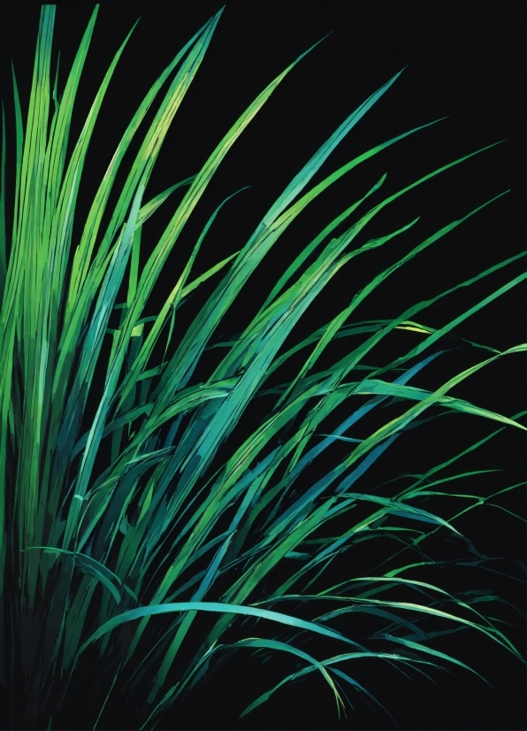 Plant, Terrestrial Plant, Arecales, Grass, Electric Blue, Flowering Plant