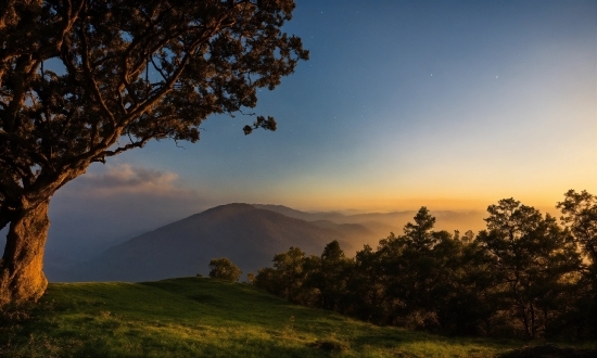 Short Videos For Free, Plant, Sky, Cloud, Natural Landscape, Highland
