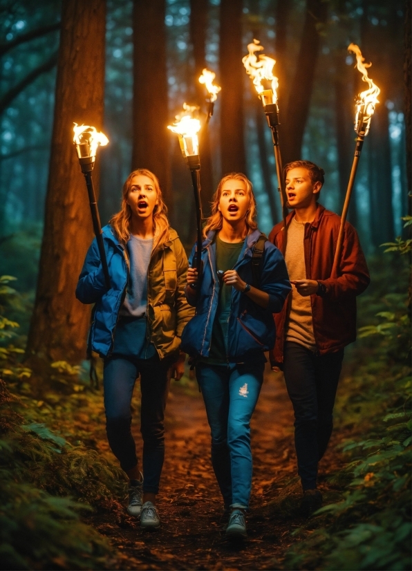 Telus Ai Data Solutions, Plant, People In Nature, Flash Photography, Lighting, Tree