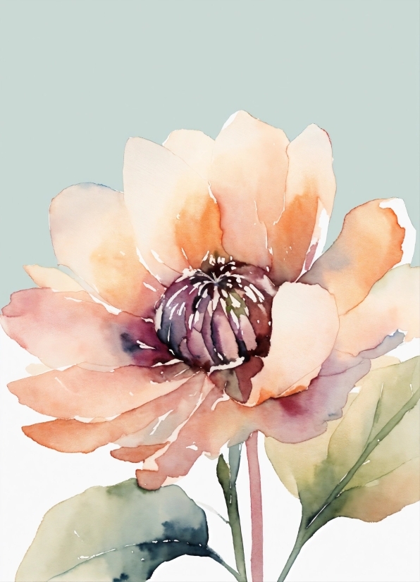 Tiktok Download Free, Flower, Plant, Petal, Pink, Creative Arts
