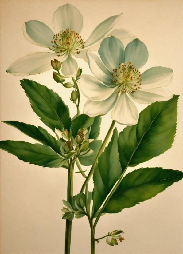 Wombo Ai Free, Flower, Plant, Petal, Flowering Plant, Terrestrial Plant
