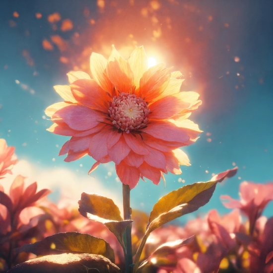 Worship Background Video Free Download, Flower, Plant, Sky, Petal, Botany