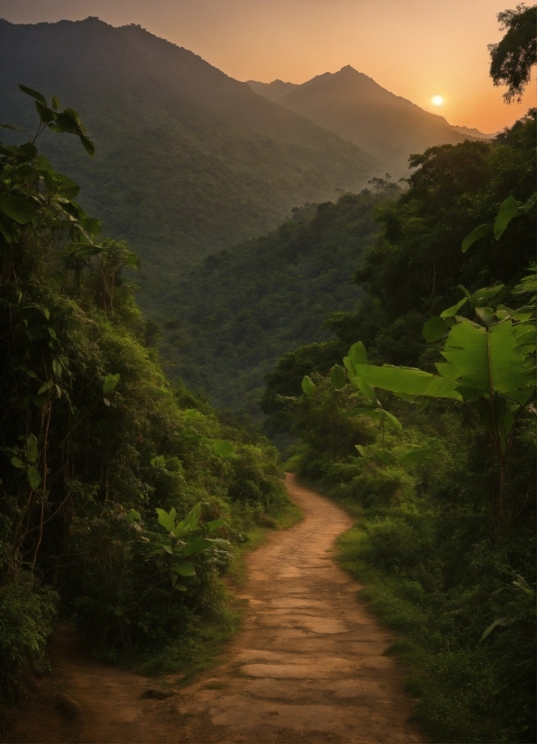 Y2 Mp3 Download, Sky, Plant, Mountain, Ecoregion, Nature