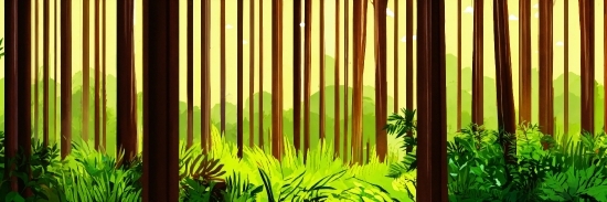 Youtube To Mp3 Free, Plant, Wood, Terrestrial Plant, Grass, Tints And Shades
