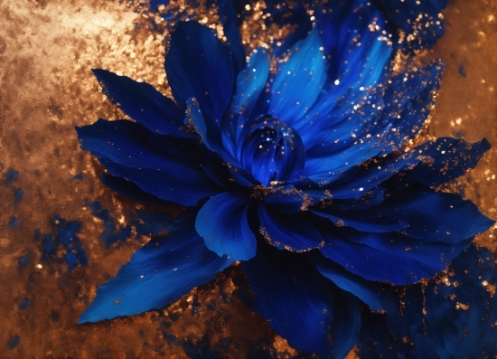 Youtube Video Background Music, Flower, Water, Plant, Liquid, Petal