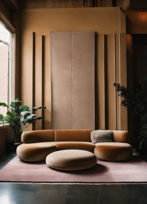 Best Background For Video, Plant, Property, Wood, Houseplant, Interior Design